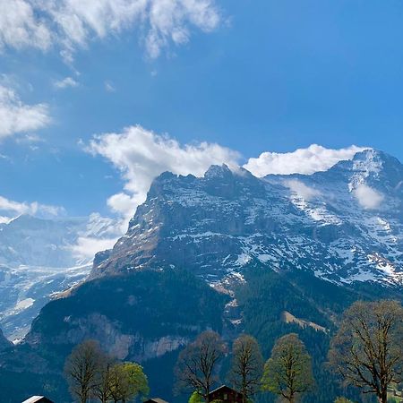 Eiger, Jungfrau, luxury garden apartment Grindelwald Exteriör bild