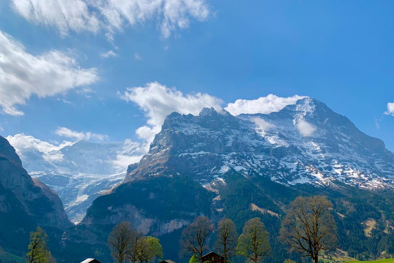 Eiger, Jungfrau, luxury garden apartment Grindelwald Exteriör bild